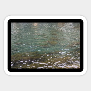 Shallow Ocean Water, Sea Weed, Nature Photography Sticker